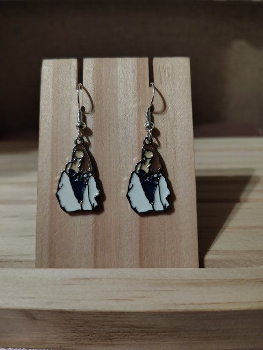 Swiftie Earrings- ERA'S TOUR